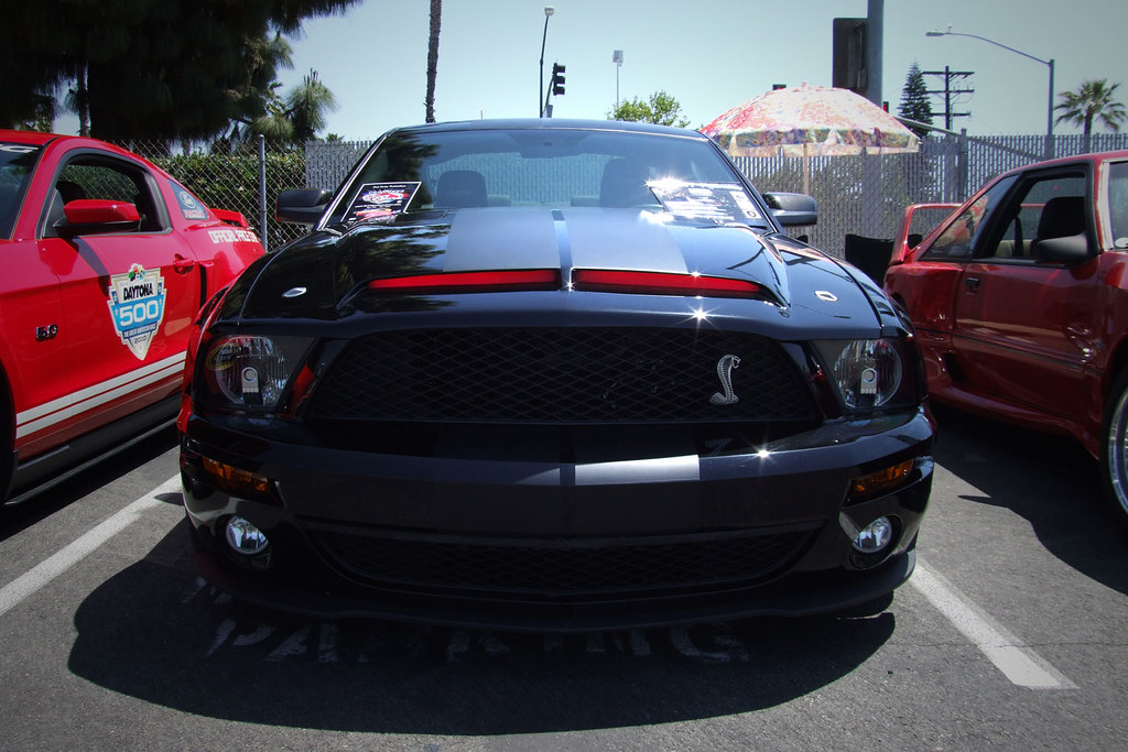 8670917146_8d74d3d610_b.jpg