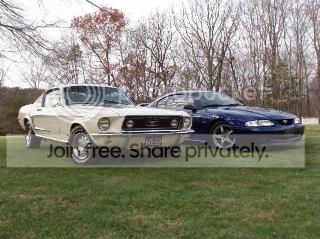 Mustang084.jpg