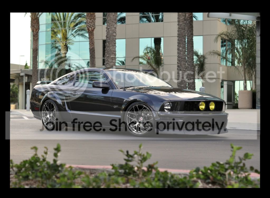 DaveMustangP40-1500pix.jpg