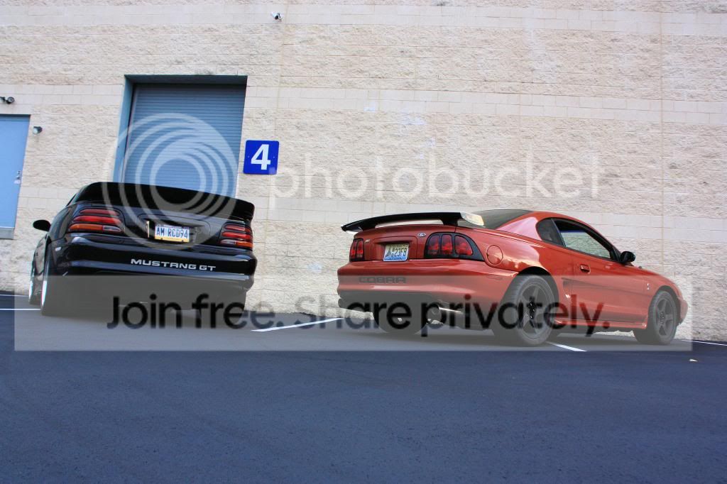 IMG_1788_zpsf1708372.jpg