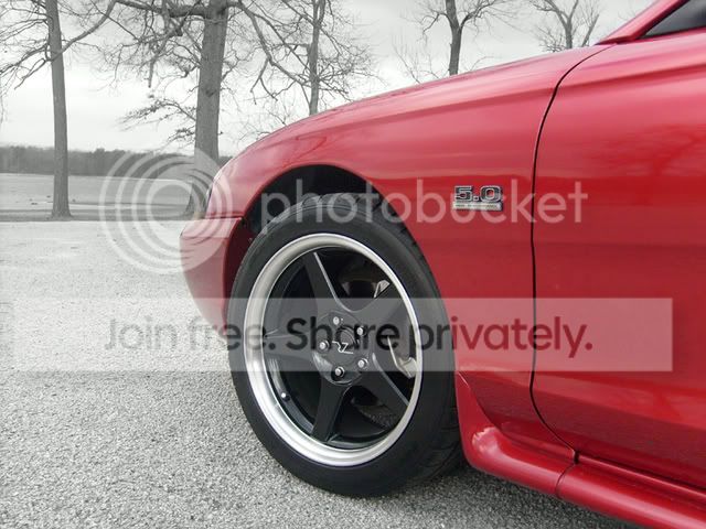 Picture047psd-1.jpg