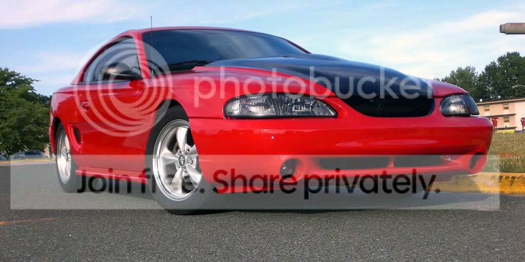 Stang7.jpg