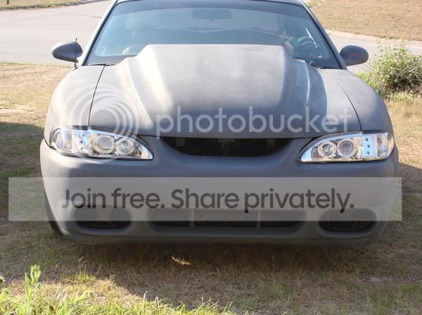 bstang.jpg
