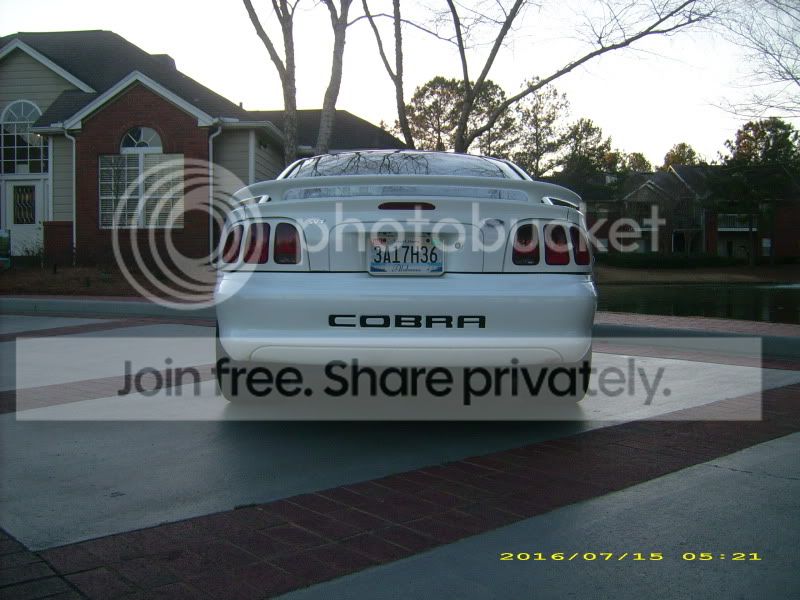 cobra009.jpg