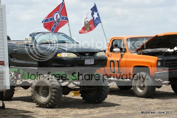 bigmustang.jpg