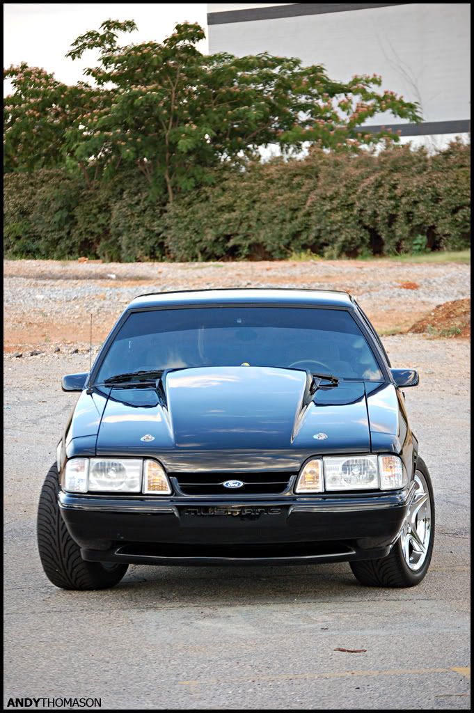 Mustangshoot62.jpg