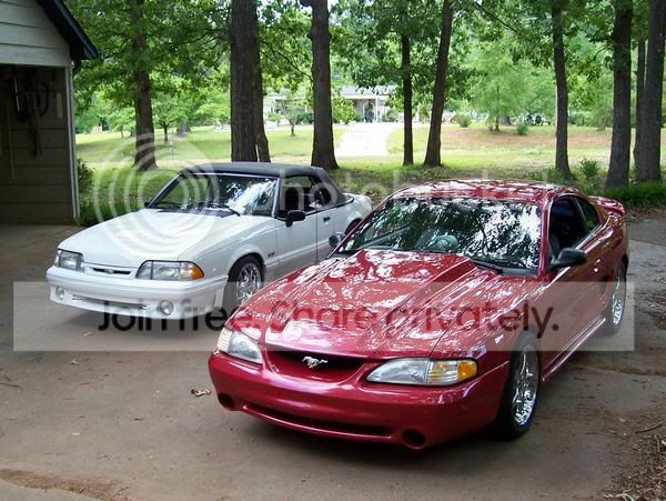 mycars.jpg