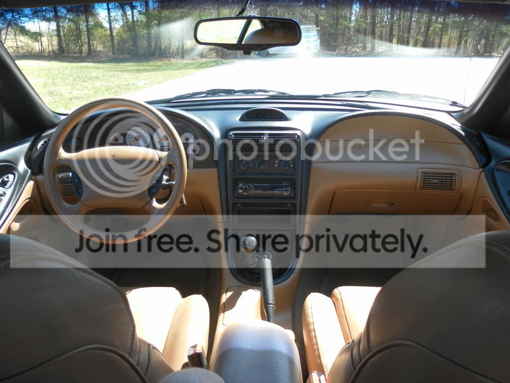 SAM_0395.jpg