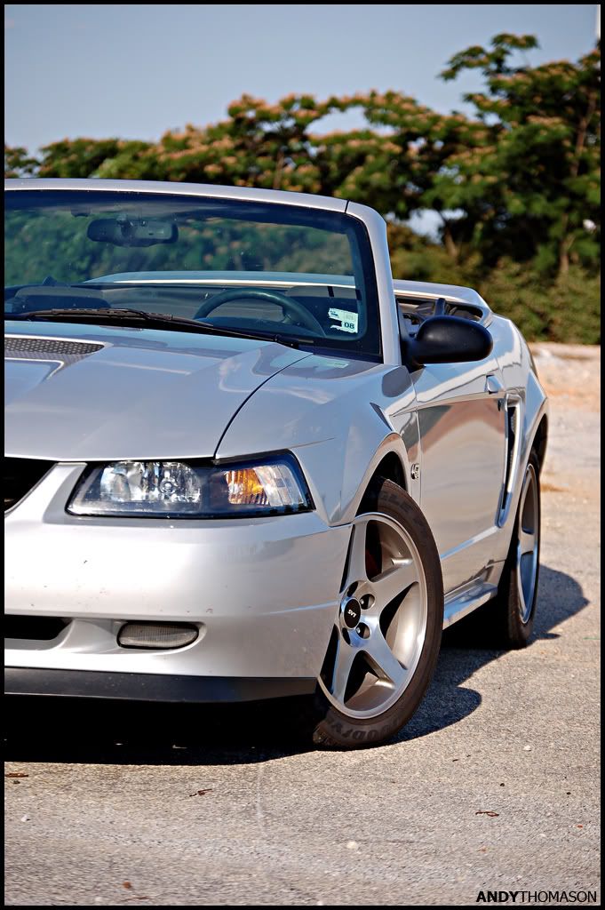 Mustangshoot3.jpg