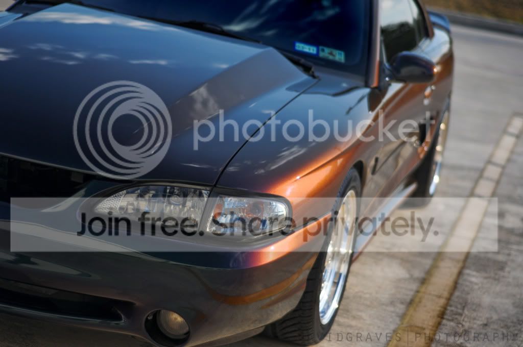 96MC6.jpg