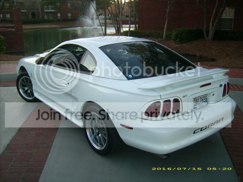 cobra008.jpg