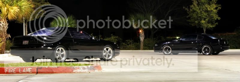 IMG_3278copy.jpg
