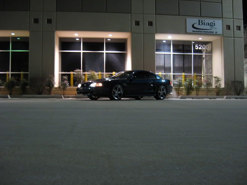 nitepics2007.jpg