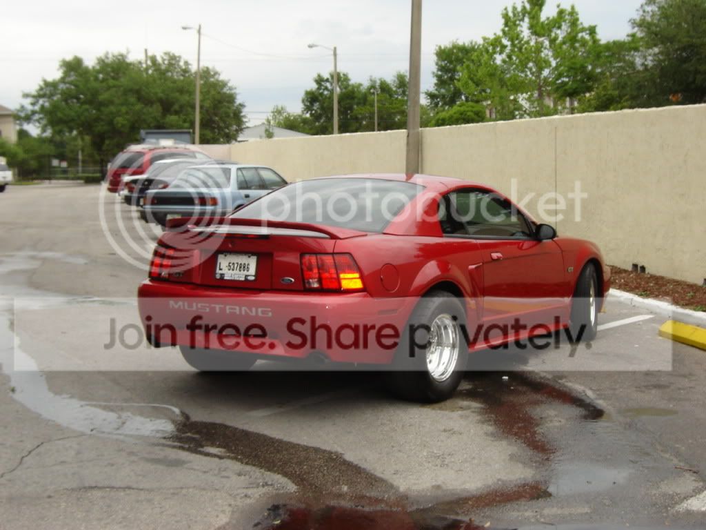 01rear-1.jpg