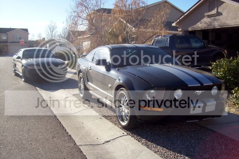 Mustang013.jpg