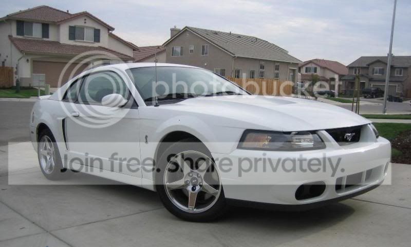 03CobraFrontbumperWhite.jpg