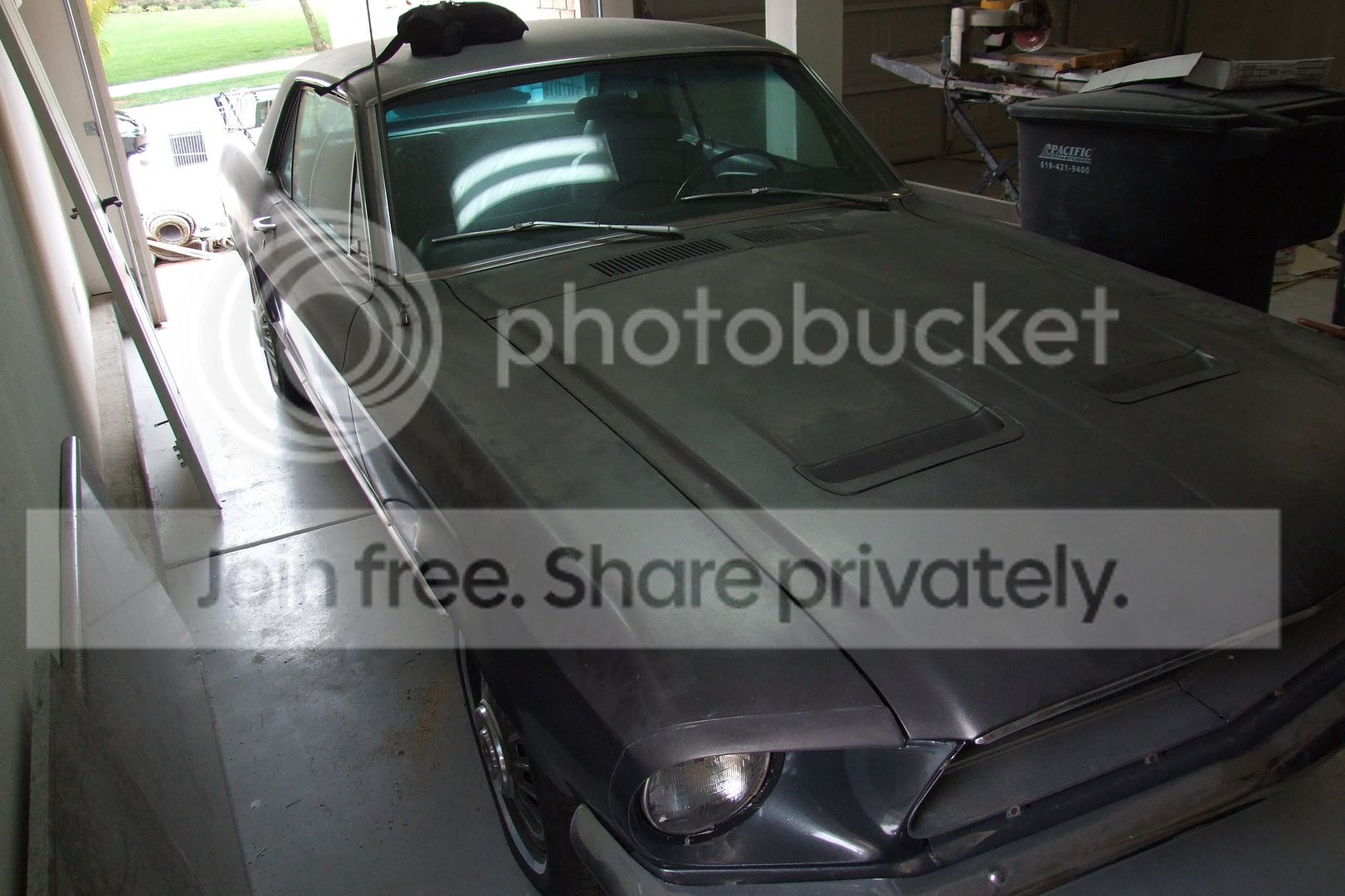 DSCF4122.jpg