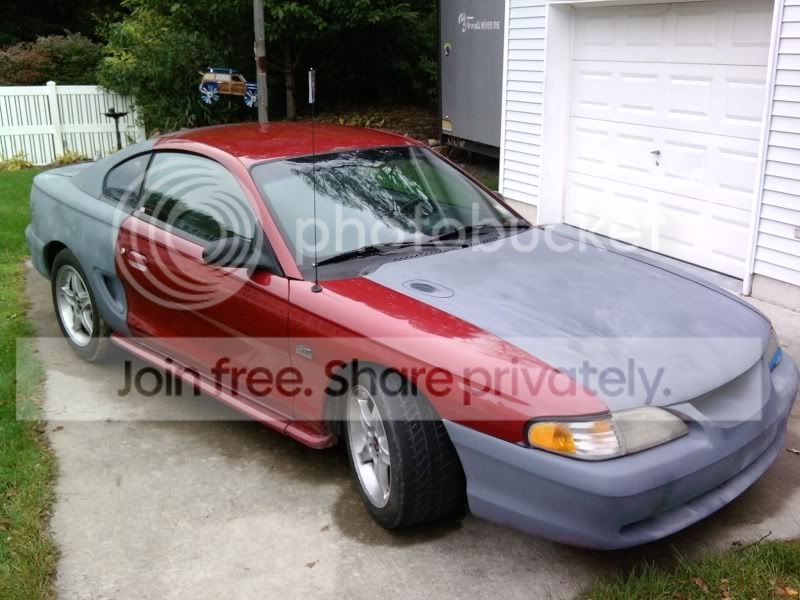 MUSTANG.jpg