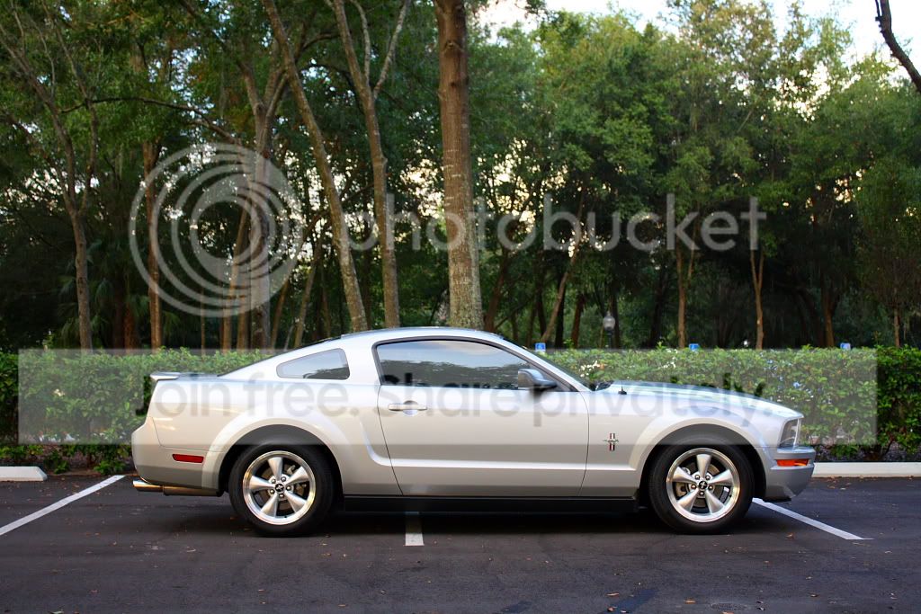 IMG_0974smaller.jpg