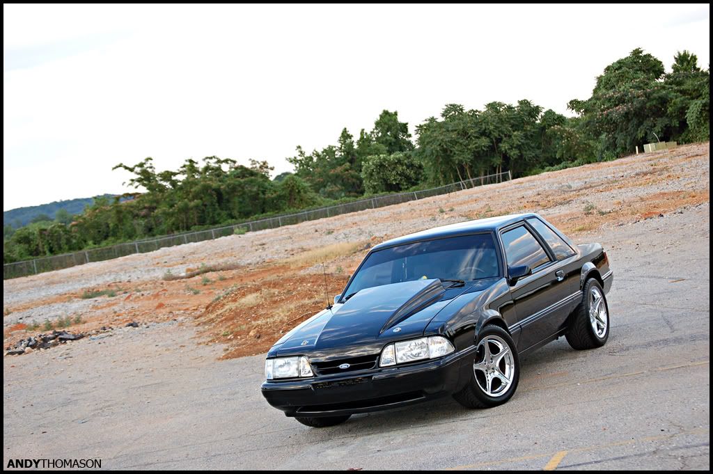 Mustangshoot63.jpg