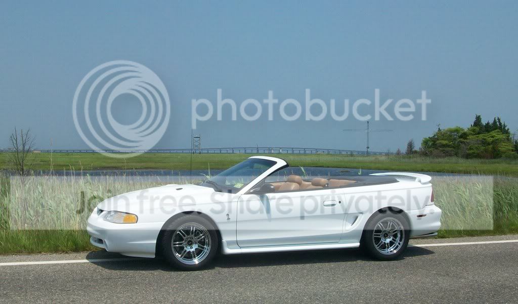 nicestang.jpg