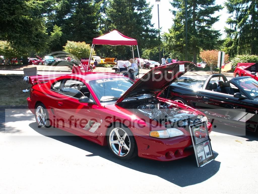 Saleenroundup2006.jpg