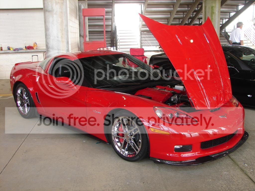 vette3.jpg