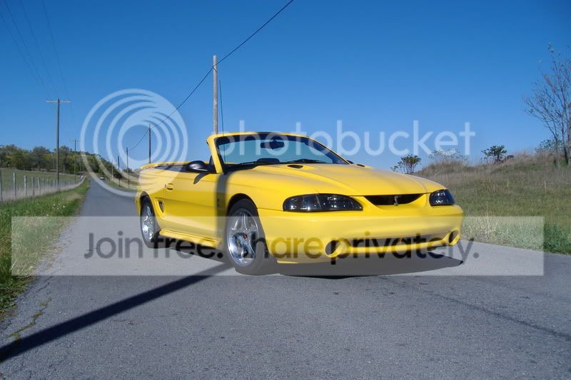 random027.jpg