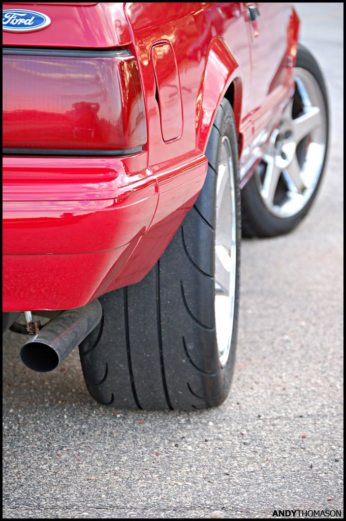 Mustangshoot53.jpg