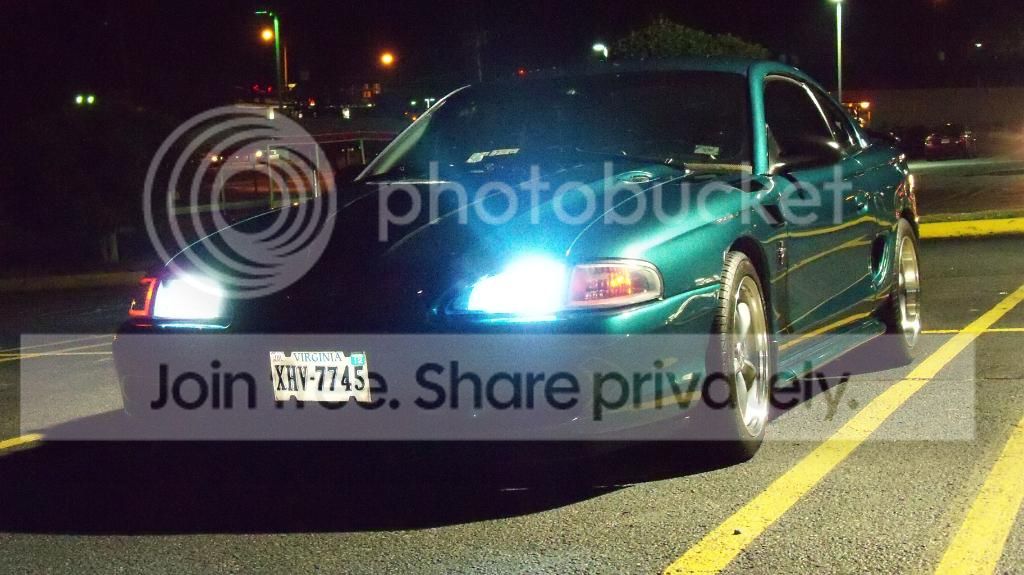 Stang025.jpg