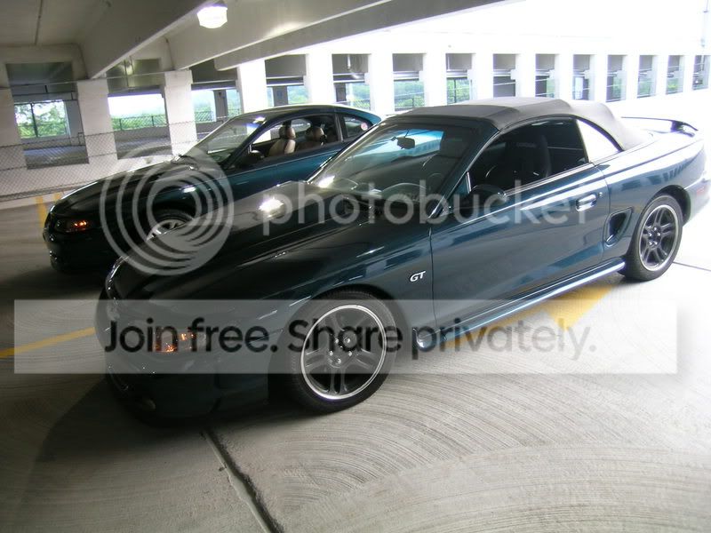 DSCN0590.jpg