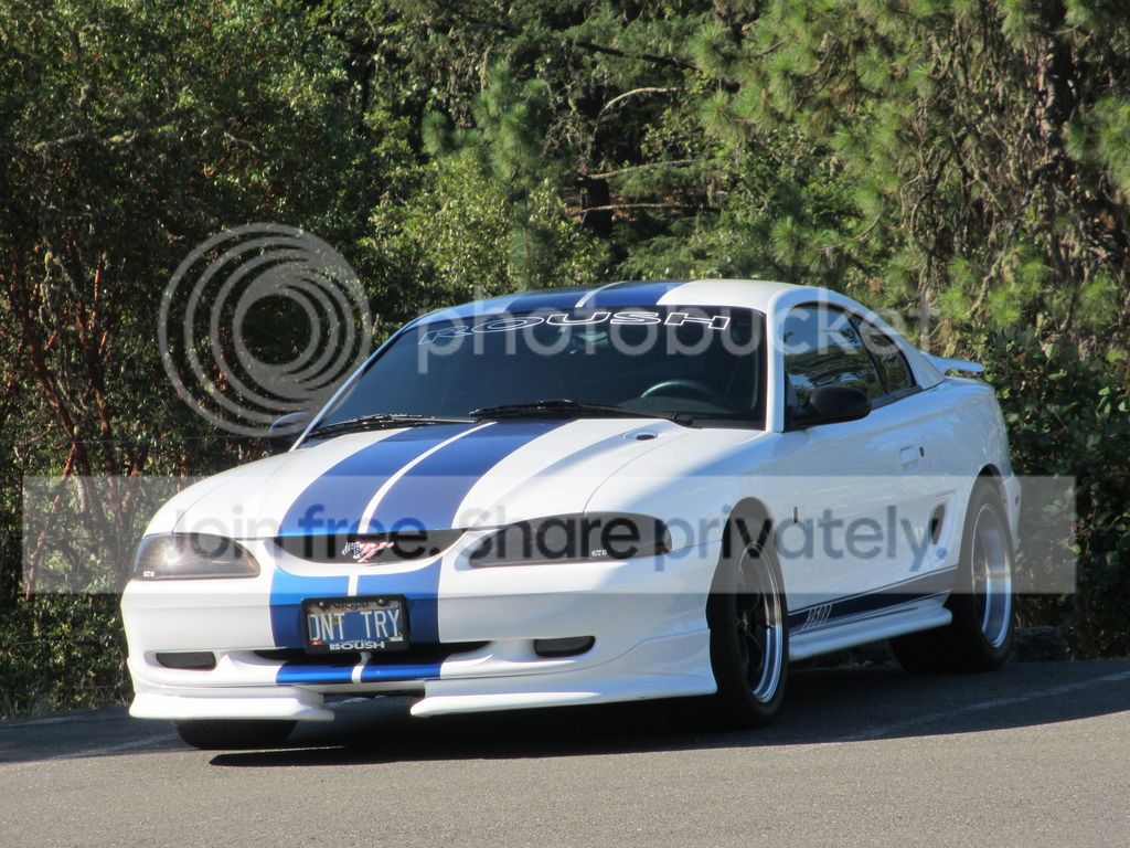 IMG_4115_2.jpg