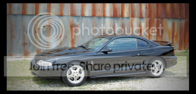cobra11.jpg