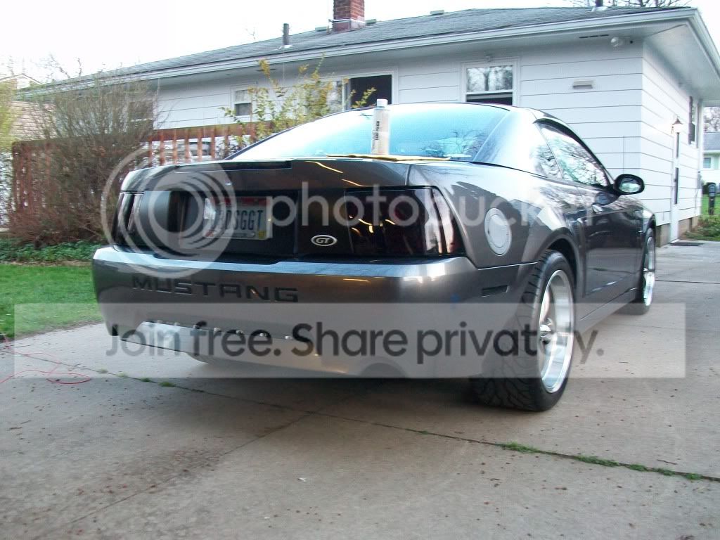 Mustang2012003.jpg