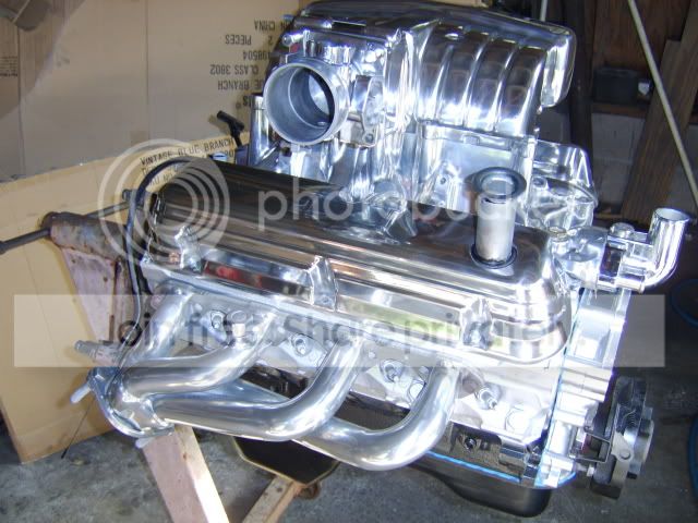 STA70177.jpg
