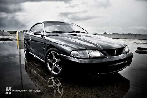 blackcobra1.jpg