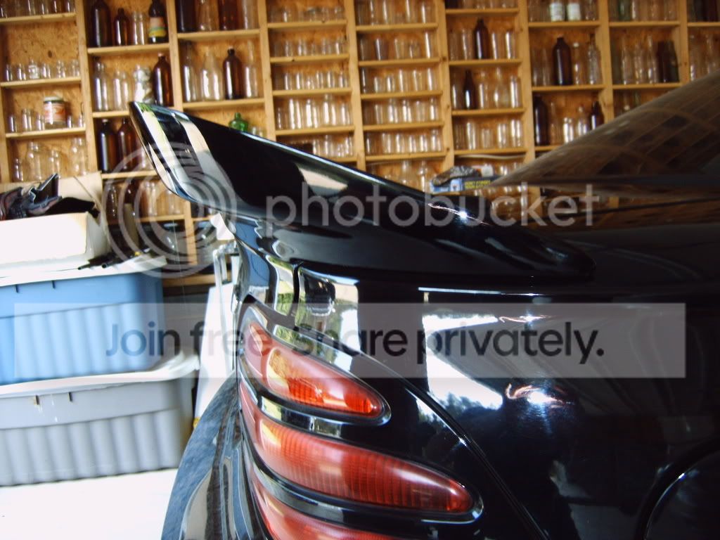 IMG00056.jpg