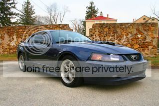 Mustang-2.jpg