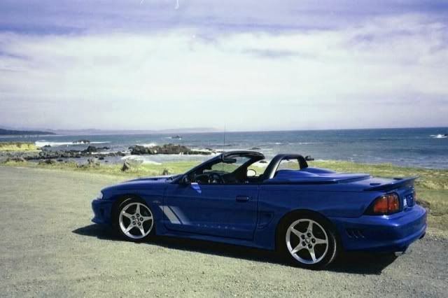saleen1.jpg