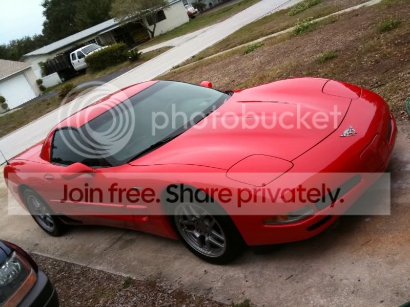 vette3.jpg