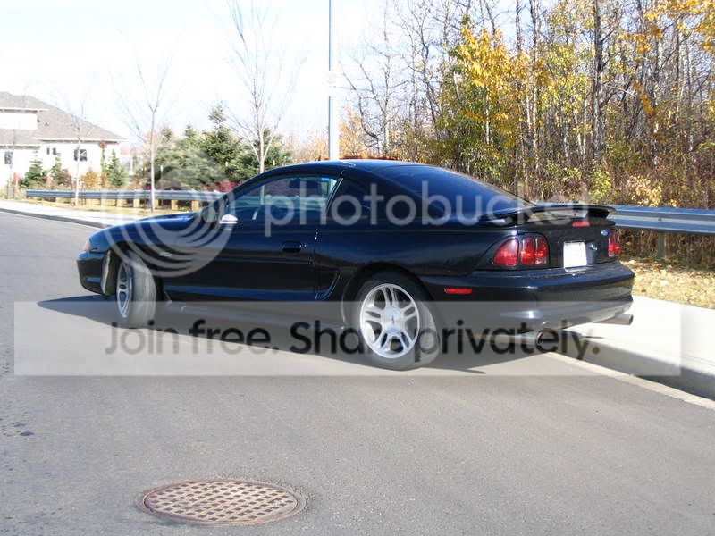 Lowered002.jpg