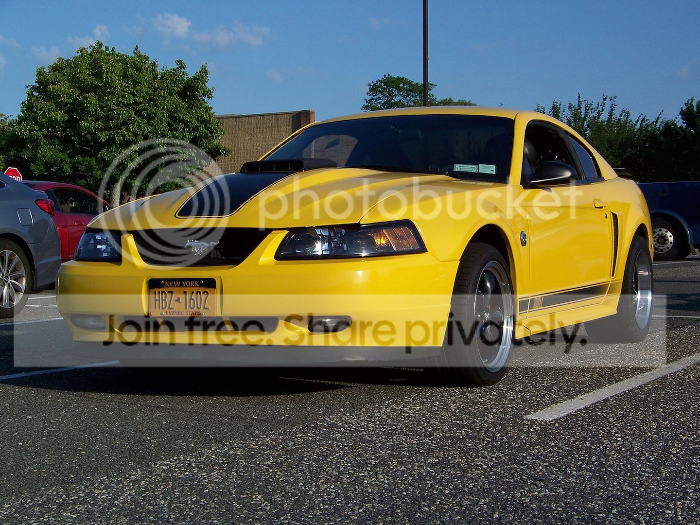 100_8905a.jpg