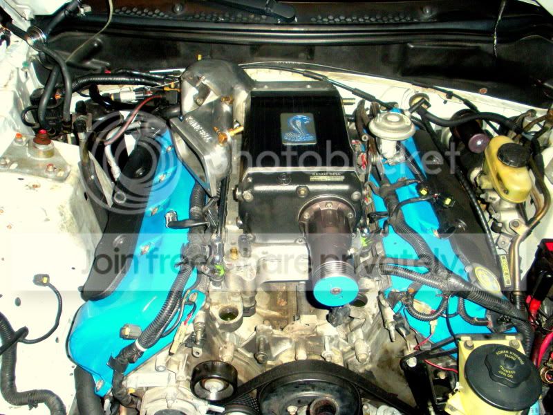 DSCN9347.jpg