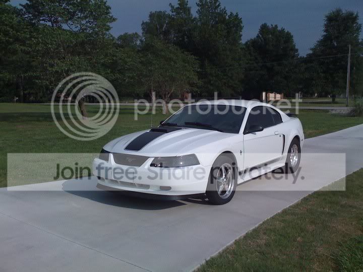 car2.jpg