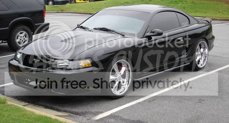 mustang1.jpg