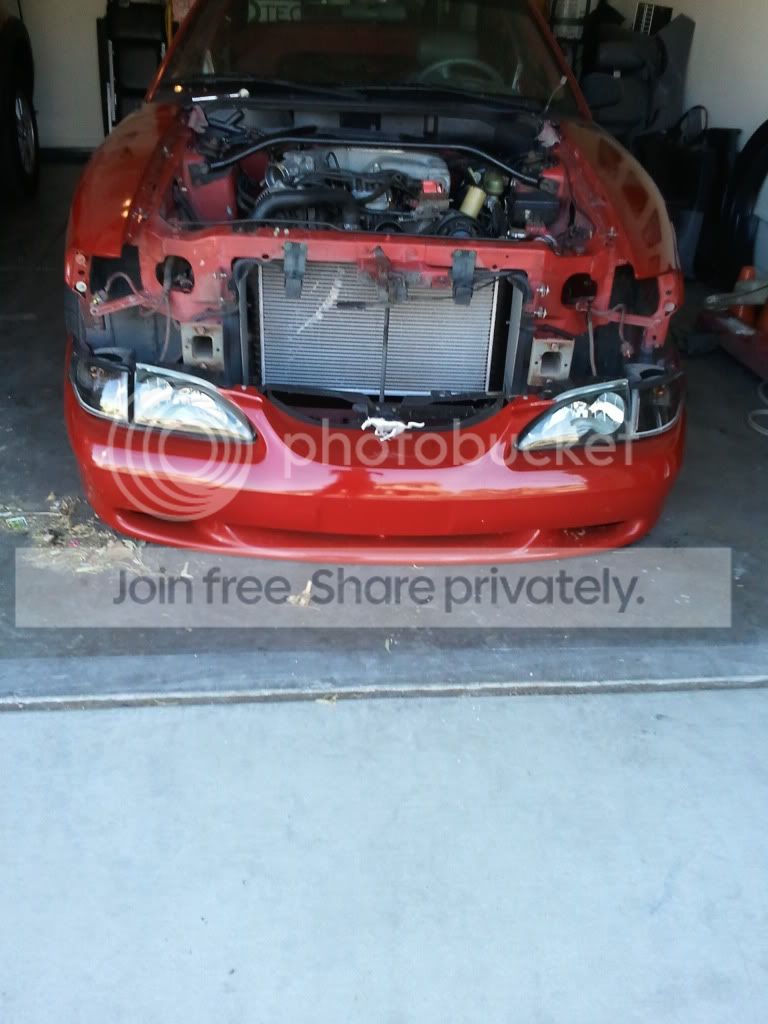 2011-03-28164915.jpg