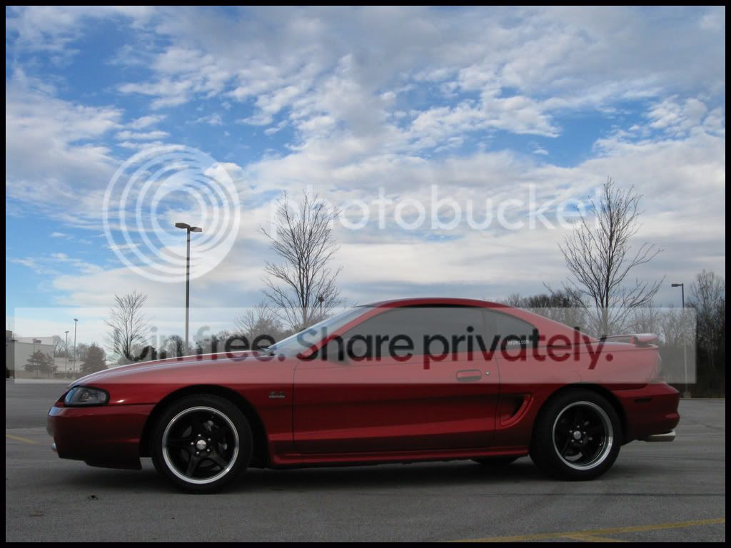 stang034.jpg
