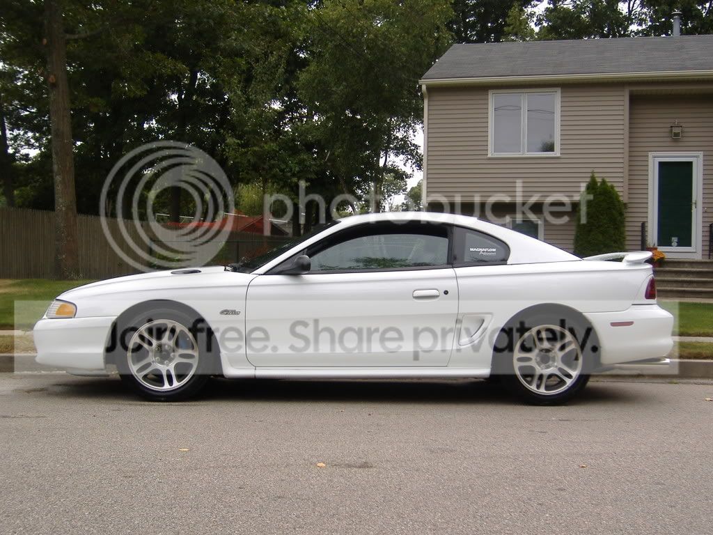 mustang004.jpg