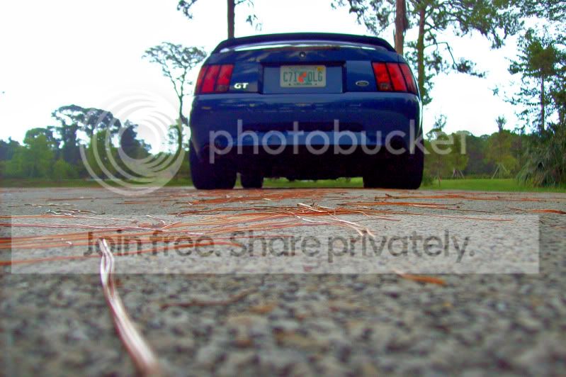 newcarpics010hdr.jpg