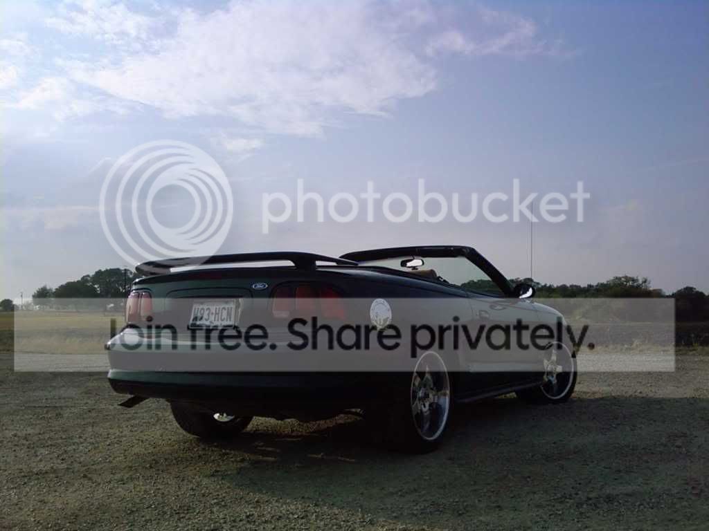 mystang7.jpg